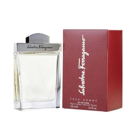 Salvatore Ferragamo Pour Homme Edt 100Ml
